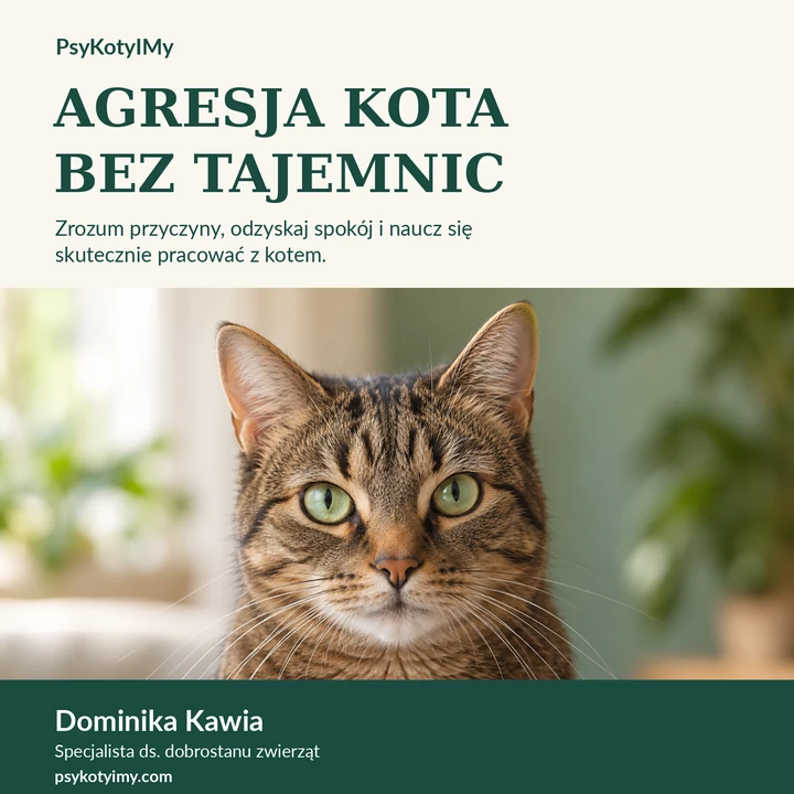 Okładka e-booka Agresja kota bez tajemnic – Premium