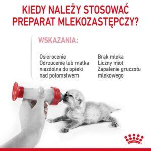 Infografika o stosowaniu preparatu mlekozastępczego u kociąt