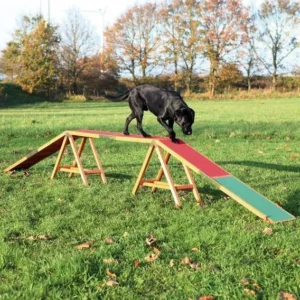 Pies pokonujący przeszkodę agility